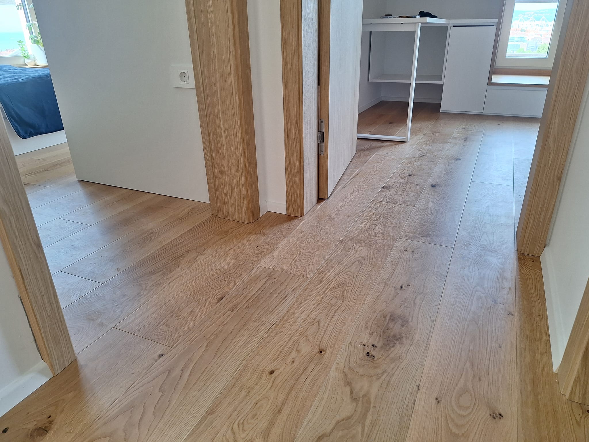 habitat-reference-sh-olmo-4